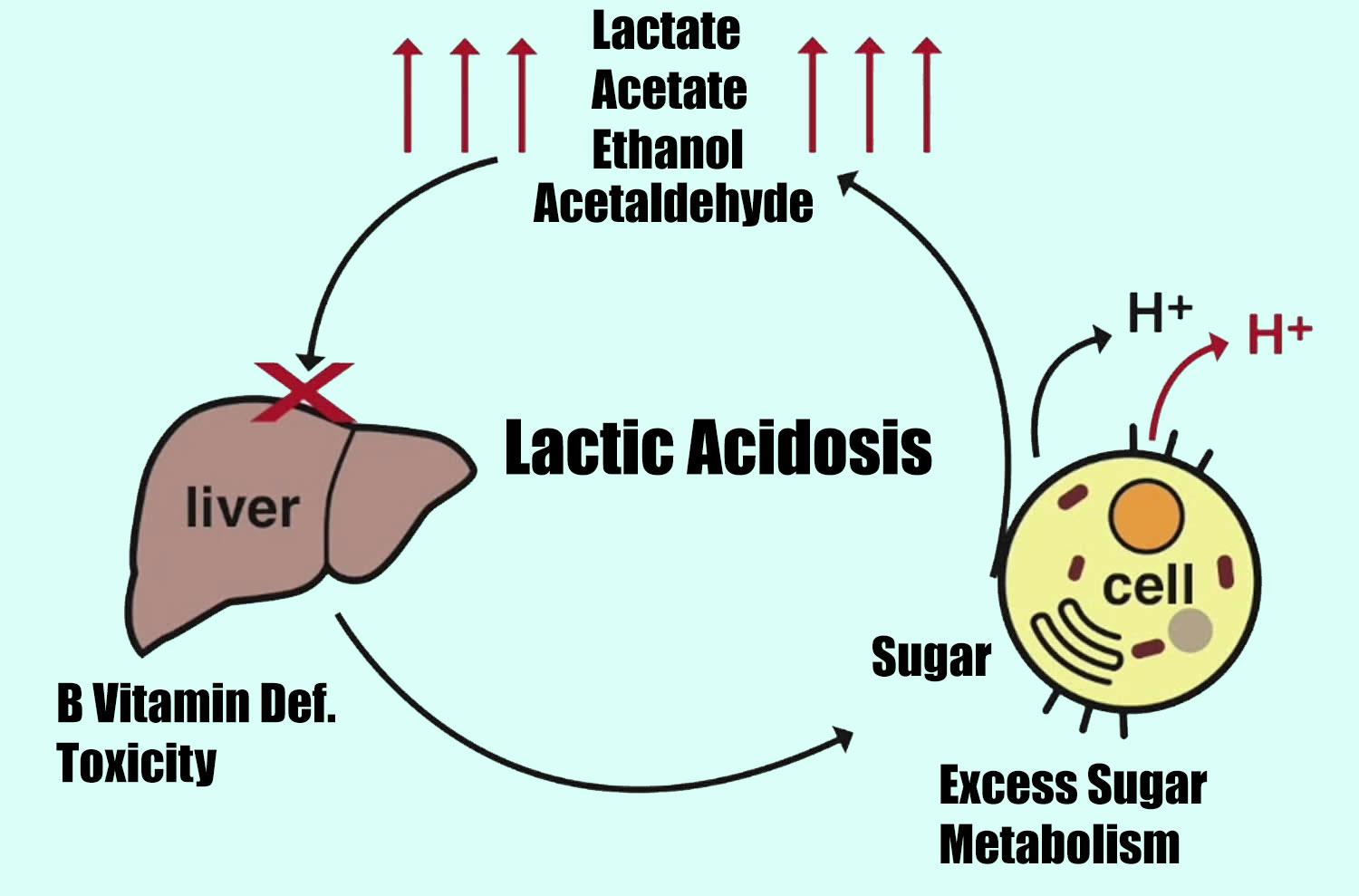 metformin and lactic acidosis