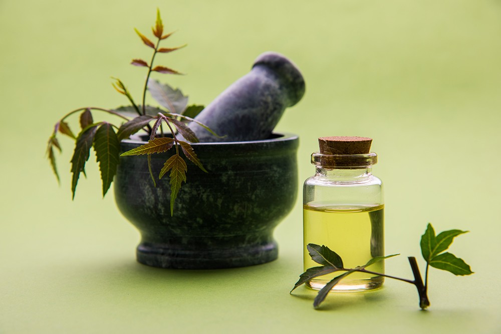 neem is the best ayurvedic remedies for sugar