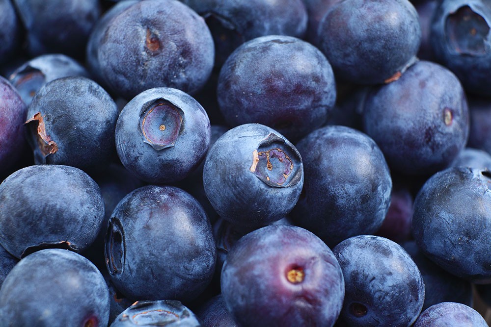 blueberries and blood sugar