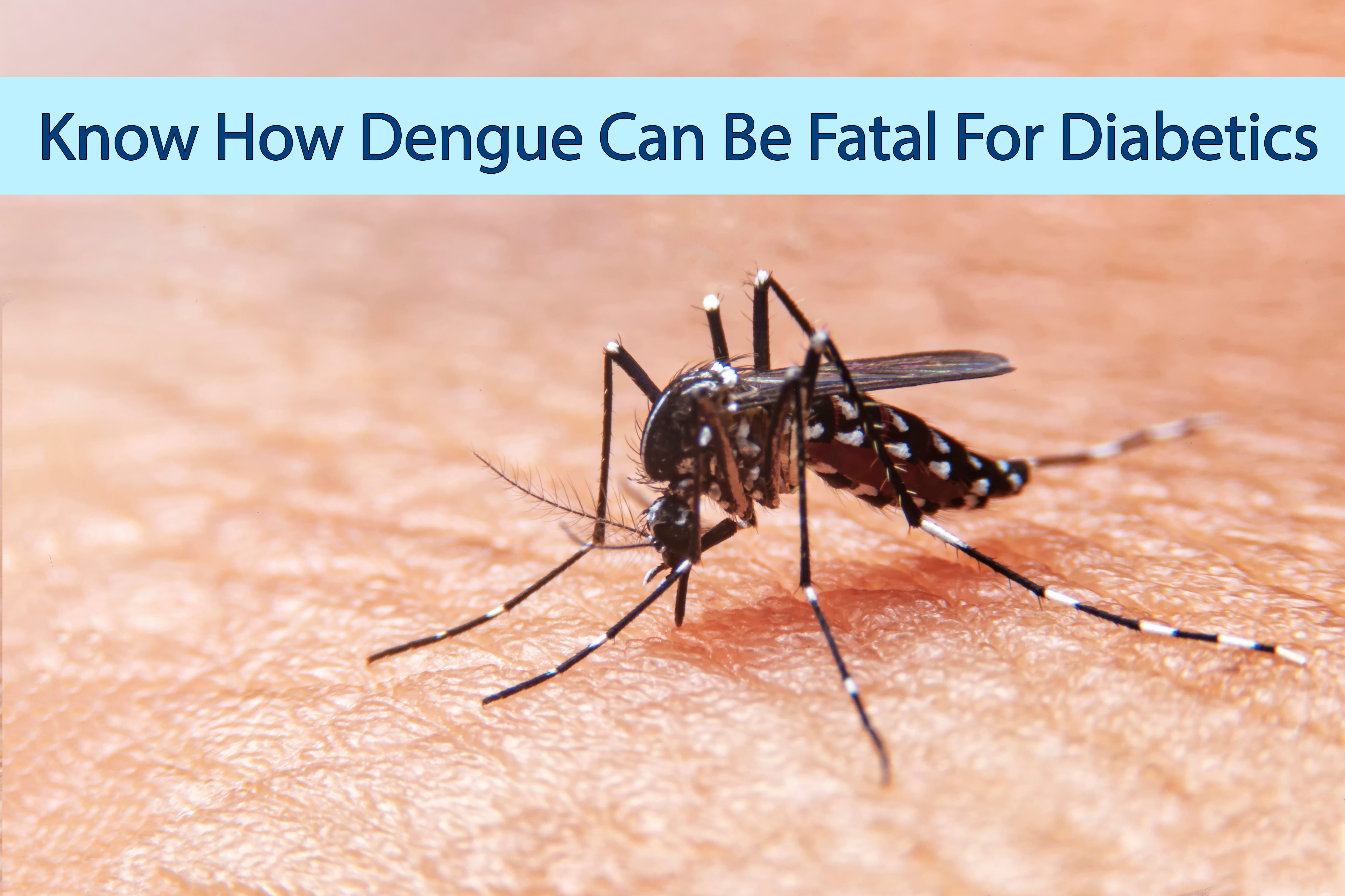 Diabetes and Dengue – How Diabetes Can Make Dengue More Life Threatening?
