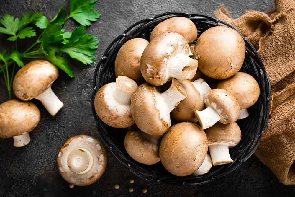 mushrooms is the good source of vitamin b for diabetes